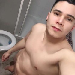 Usuario