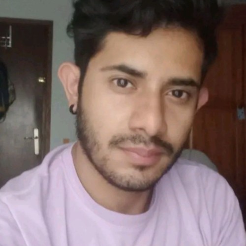 Usuario