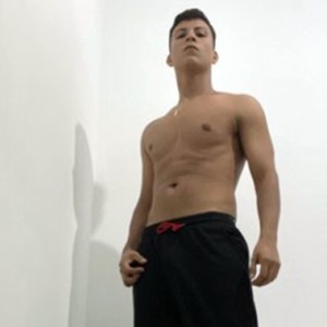 Usuario
