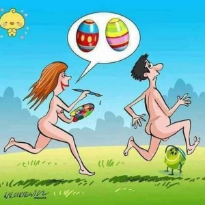 Usuario