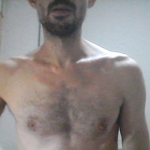 Usuario